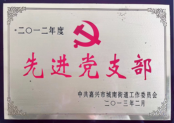 先进党支部