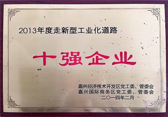 奥冠荣誉：十强企业