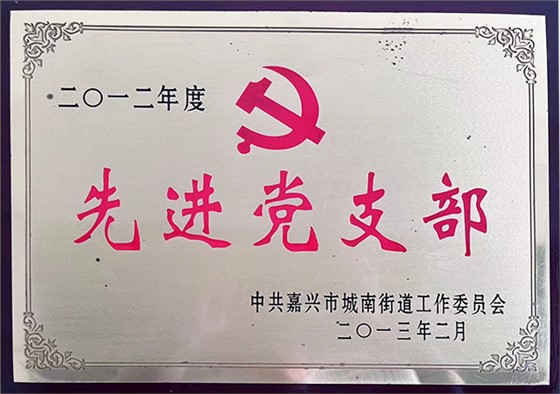 先进党支部